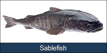 alaskan-sablefish-pacific