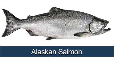 alaskan-salmon-pacific